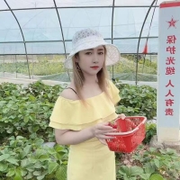 小菲妹子